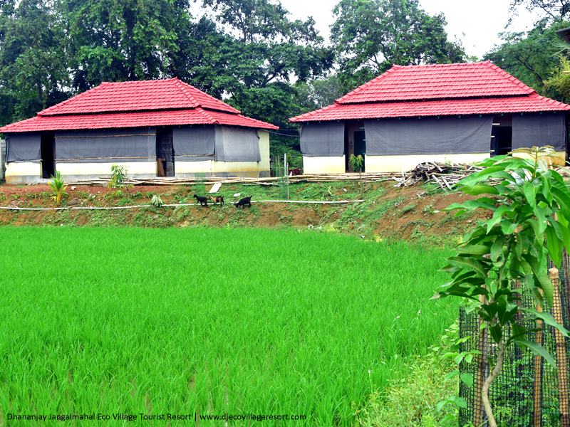 Dhananjay Eco Resort